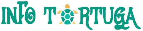 logo infotortuga